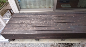 DSC_0480 (2500x1389).jpg